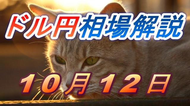 【TAKA FX】ドル、円、ユーロ、ポンド、豪ドルの為替相場の前日の動きをチャートから解説。10月12日