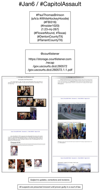 Screenshot of pages from court document pertaining to January 6th riot suspect Paul Thomas Brinson (Flower Mound, Texas).