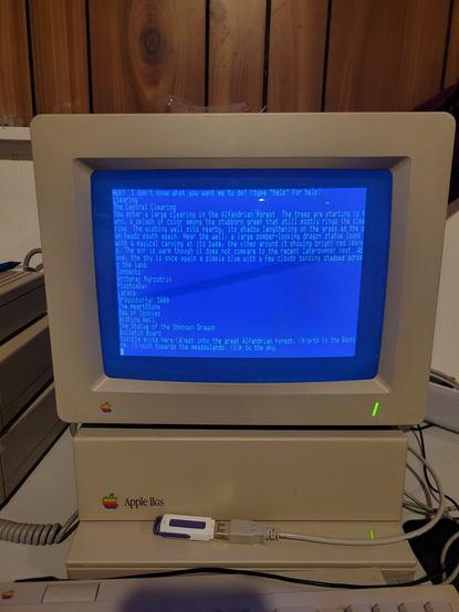 An Apple IIgs logged into Alfandria multi user chat kingdom (MUCK)