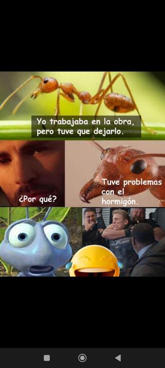 Meme de hormiga conversando.
Viñeta 1... La hormiga dice... Yo trabajaba en la obra, pero tuve que dejarlo.
Viñeta 2... Una persona le pregunta... ¿Por qué?
Viñeta 3... La hormiga dice... Tuve problemas... Con el hormigón
Viñeta 4... Cara de estupefacción 
Viñeta 5... Meme de capitán América cuando le agarran entre todos  para que no lo mate por el comentario dicho.