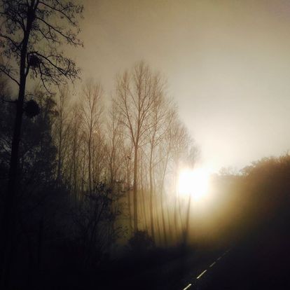 Une route fin d'apres-midi en hiver, le soleil diffuse derrière un brouillard montant une pâle clarté qui donne une ambiance sepia au paysage boisé. Du bas de l'image sombre, la ligne blanche discontinue tranche l'obscurité.