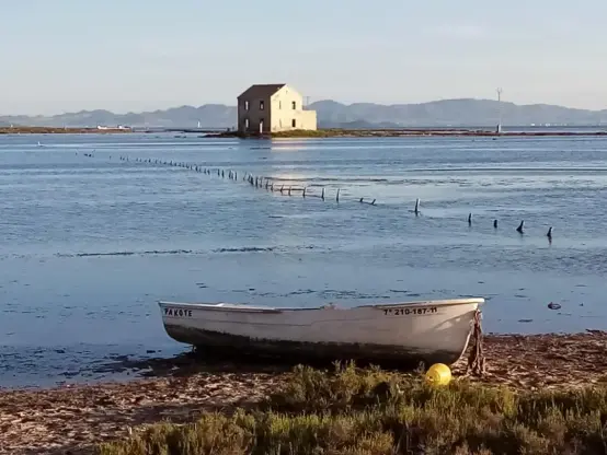 Islote De La Encañizada Del Ventorrillo.