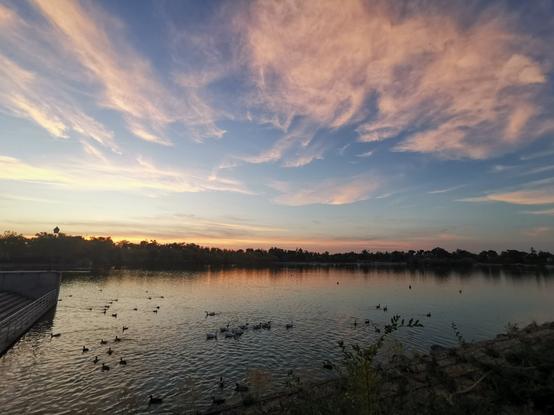 Gran angular.

Linea estrecha central compuesta por siluetas de arboles y su reflejo en el lago.

Debajo el propio lago, en colores azulados, grisaceos, rosados. Vemos patos y ocas.

Arriba el cielo, amarillento en la línea del horizonte, y celeste hacia arriba. Algunas nubes rosáceas en la parte alta del cielo, las cuales, gracias al gran angular nos dan una gran sensación de profundidad.
