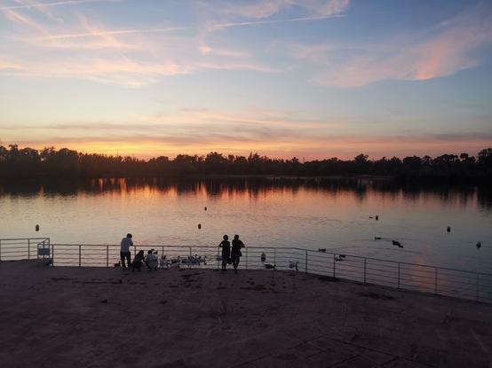 Linea estrecha central compuesta por siluetas de arboles y su reflejo en el lago.

Debajo el propio lago, en colores azulados, grisaceos, rosados. Vemos patos y ocas.

Más abajo la barandilla, con siluetas de personas que están apostadas en la misma.

Arriba el cielo, amarillento en la línea del horizonte, y celeste hacia arriba. Algunas nubes rosáceas en la parte alta del cielo, las cuales, gracias..