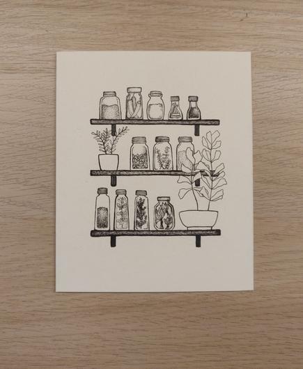 A photo of a black and white drawing of 3 wall shelves with various spices, plants and herbs on them.