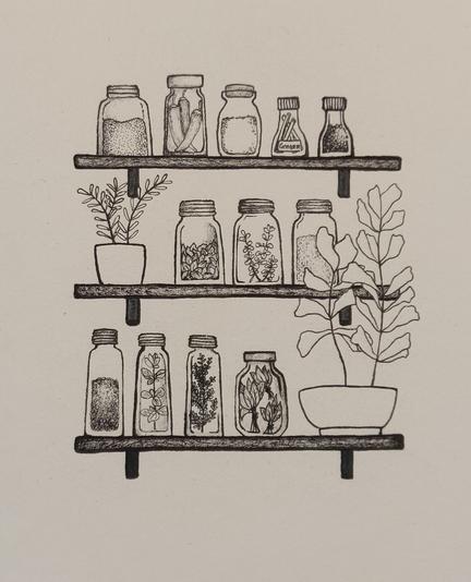 A photo of a black and white drawing of 3 wall shelves with various spices, plants and herbs on them.