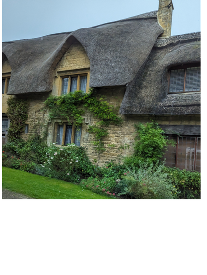 A beautifully kept thatched roof house in Burton-on-the-Hill, with a Cotswolds limestone exterior and a lot of bushes and vines growing on and near the home.