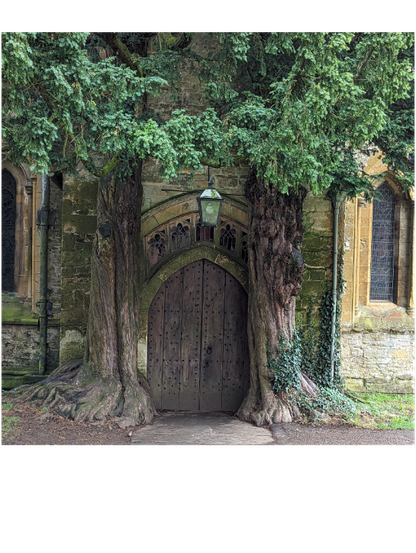 The North door of St. Edward’s Church in  Stow-on-the-Wold. The door is closely flanked by two ancient yew trees, rumored to be J. R. R. Tolkien’s inspiration for the “Doors of Durin” in the The Lord of the Rings. The door is arched at the top and made with large wood boards, the trees are so close that the trunks are fused with the building.