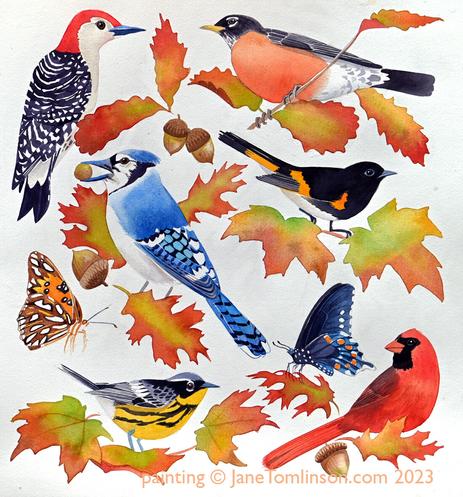 Painting of birds of the Tennessee woods