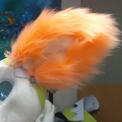 Ear 1