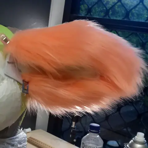 Ear 2