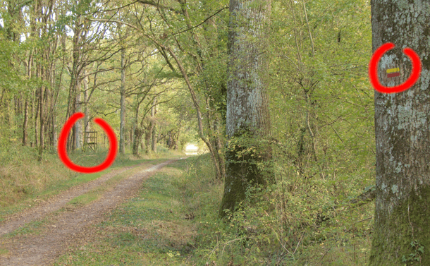 Photographie d'un chemin qui passe au milieu des bois. À Droite j'ai entouré en rouge un marquage d'un chemin de Grande Randonnée (donc un chemin public). À gauche j'ai entouré un mirador de chasse posé juste en bord du chemin.
-
Photograph of a path through the woods. On the right I've circled in red the markings of a "Grande randonnée" footpath (i.e. a public footpath). On the left I've circled a hunting watchtower set right on the edge of the path.