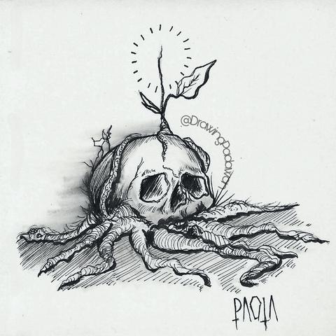 Dibujo en tinta negra sobre papel de una calavera enraizada de la que sale una pequeña hoja nueva.