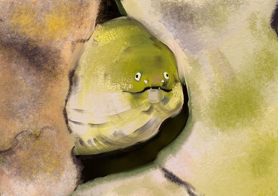 An eel peeping out of a cave.
