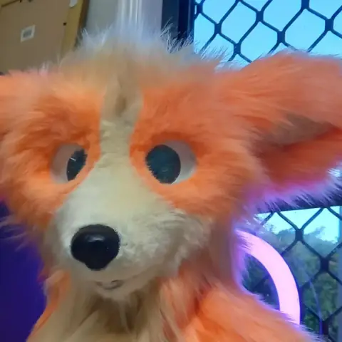 Fully shaved