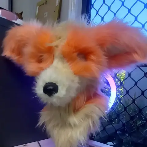 Unshaved