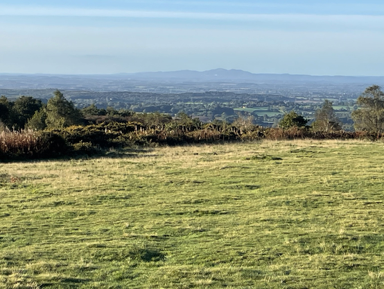 A sunny hilltop view. Grass in the foreground, trees then fields and hills in the distance.