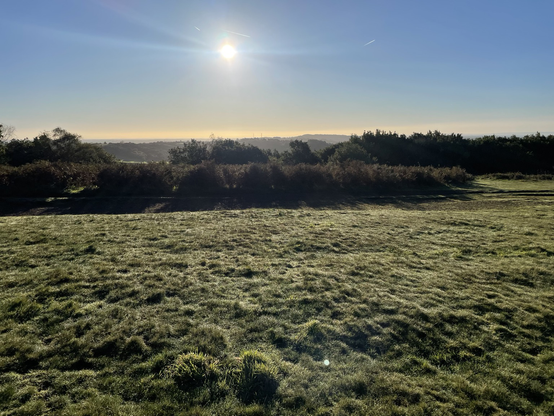 A hilltop view looking into the morning sun with blue skies.