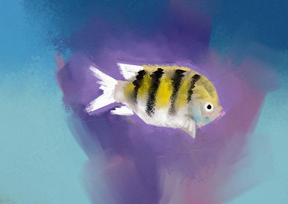 A small yellow and black striped fish swimming past some purple coral.