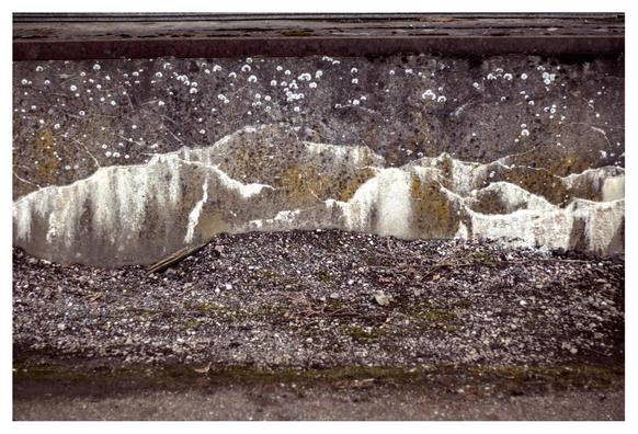 Cement foundation at an old industry building.