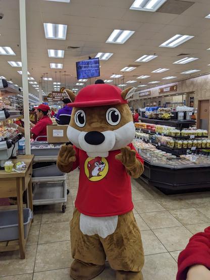 Buc-ee's mascot seen at Baytown TX