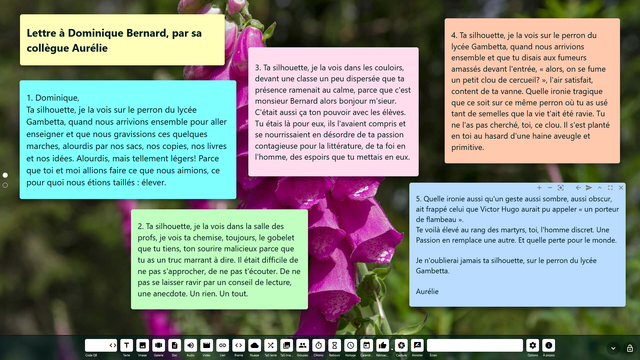 Textes affichés sur le fond d'écran interactif Digiscreen