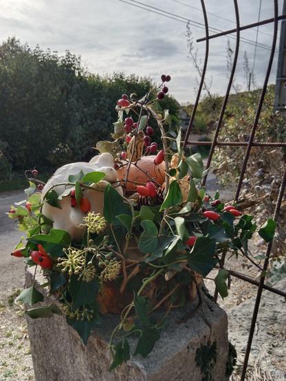 Composition florale avec du lierre, des baies d'églantier, des coloquintes, une courge "turban turcx et un pâtisson blanc, et quelques pommes de pin.