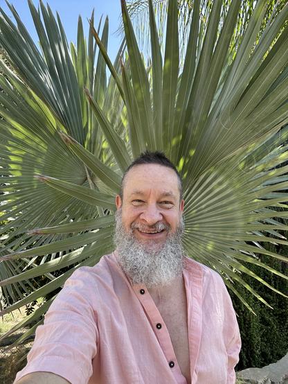 Man with short dark hair and a gray beard wearing a pink Henley shirt standing against the fan-shaped fronds of a Bismarck palm