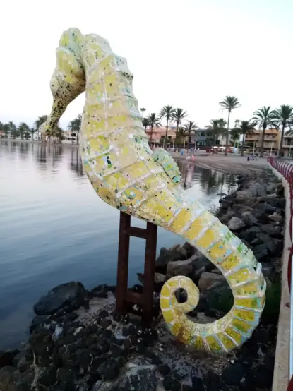 El Último Caballito De Mar.