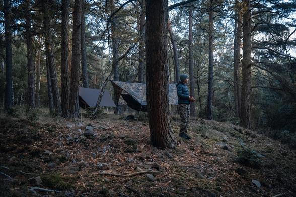 Hammocks in the forest.