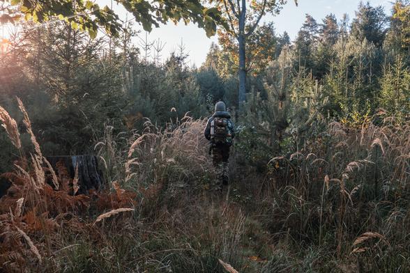 A backpacker walks through the morning dew at sunrise in the Brdy Mountains.
