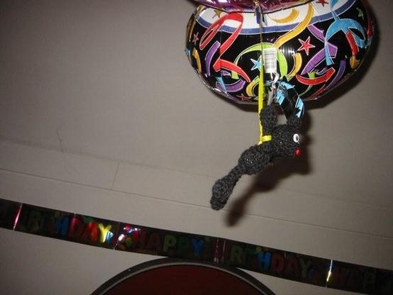 #BlackBeanBear goes #Flyin'...