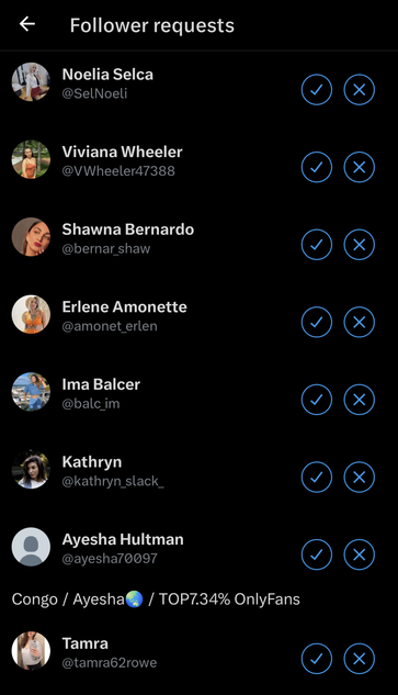 Screenshot of "Follow Requests page filled with clearly bot women"