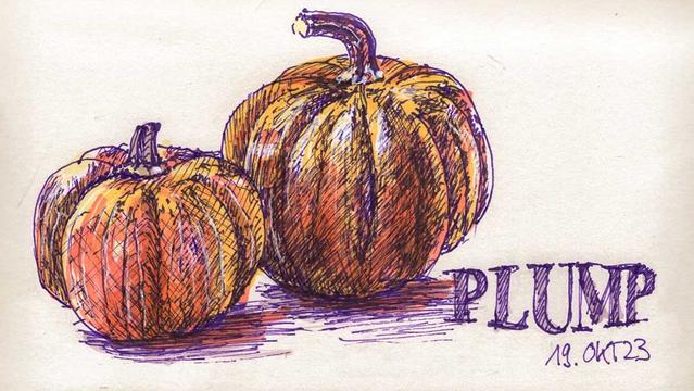 Zwei Kürbisse, links vorne ein etwas kleinerer. Federzeichnung mit Violetter Tinte und oreangen Farben mit Marker. Rechts Schriftzug "Plump".