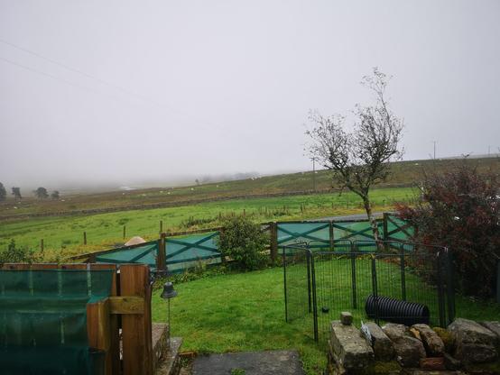 View from the front door. The mist has just lifted a few feet above the house, so I can see some of the fields below now. It's grey and light rain falling.