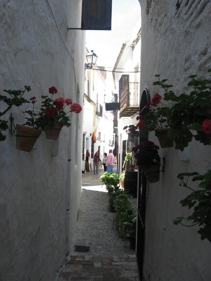 sehr schmale Gasse in einem "weißen Dorf" in Spanien. An den weißen Wänden hängen Blumentöpfe mit roten Blumen. Auf dem Boden stehen Blumentöpfe am Rand.