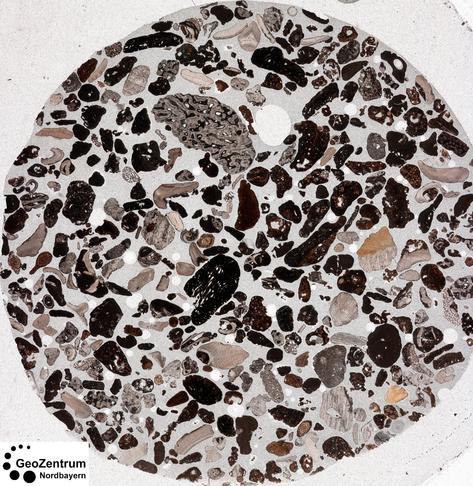 Scan of a thin section. Rudstone with foraminifers, green algae, red algae and coral fragments. Beach in the Bahamas. Exact locality unknown. Modern sediment.