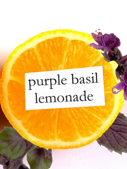 half of a lemon surrounded by purple by purple basil flowers and leaves, with the words "purple basil lemonade"