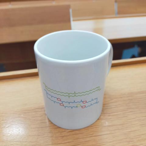Nerdy mug with two of Nina Davtian's favorite membrane-spanning lipids on it.
The molecule drawn in green is a bacterial membrane lipid whereas the molecule drawn in blue, red, and yellow is a famous archaeal membrane lipid named crenarchaeol.