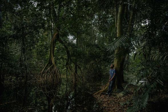 Researchers Discover One Of The World's Darkest Rivers - Ruki River - jungle view