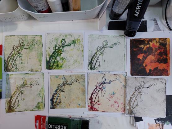Overview picture of eight small square prints made with a gelli plate, all but one of a succulent with corkscrew-curled narrow leaves. In most of them I transferred the laserprint of the albuca spiralis multiple times, playing with different colors and different offsets. The last one is a tryout with a picture of autumn leaves.