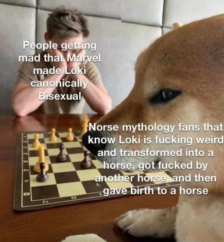 Sneaky doge playing chess.  Opponent: <people mad that marvel made Loki canonically bisexual> doge: <Norse mythology fans that know Loki is fucking weird and transformed into a horse, got fucked by another horse, and then gave birth to another horse>