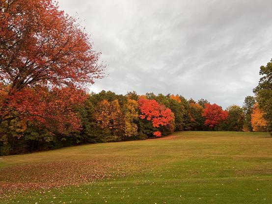 South Hadley, MA fall foliage