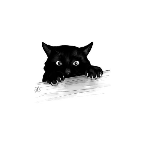 Drawing of a black cat with his paws on the table scratching it.