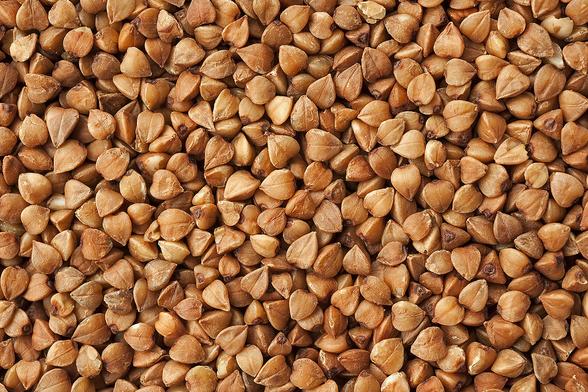 Grains de sarrasin.