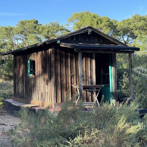 Cabane au milieu des herbes