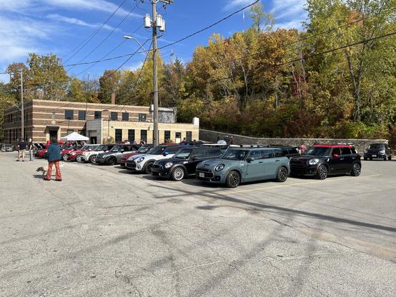 A swarm of MINI Coopers at Blue Label Racing.