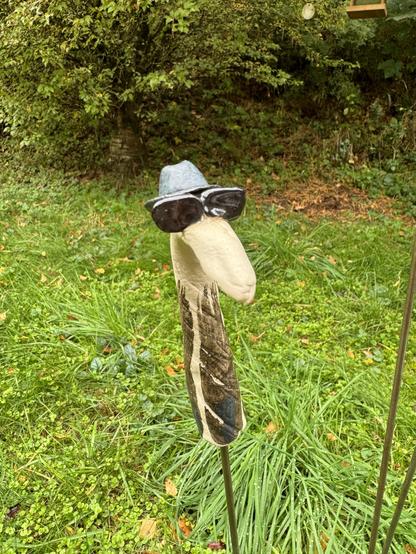 Blues Brothers als Seepferd, mit Hut und Sonnenbrille

Blues Brothers as seahorse, with hat and sunglasses