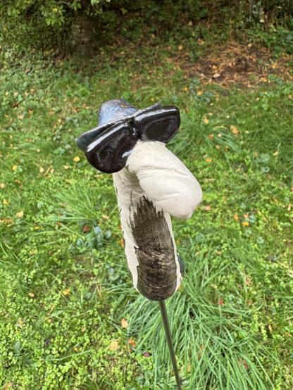 Blues Brothers als Seepferd, mit Hut und Sonnenbrille

Blues Brothers as seahorse, with hat and sunglasses