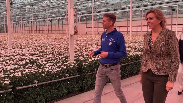 Staatssecretaris Vivianne Heijnen in de kassen van Beyond Chrysant.